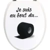 Abattant Wc 18 Pouces Attaches Acier Inoxydable Bout Rouleau
