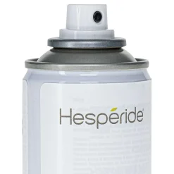 Aerosol Protection Bois 200Ml