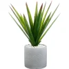 Atmosphera Aloe Vera Pot Ceramique H.48Cm