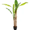 maxibazar Bananier Double H.160Cm
