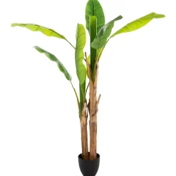 maxibazar Bananier Double H.160Cm