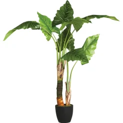 Atmosphera Bananier En Pot H.120Cm