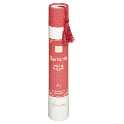 maxibazar Baton Encens H.25Cm X30 Pieces Avec Support Doli