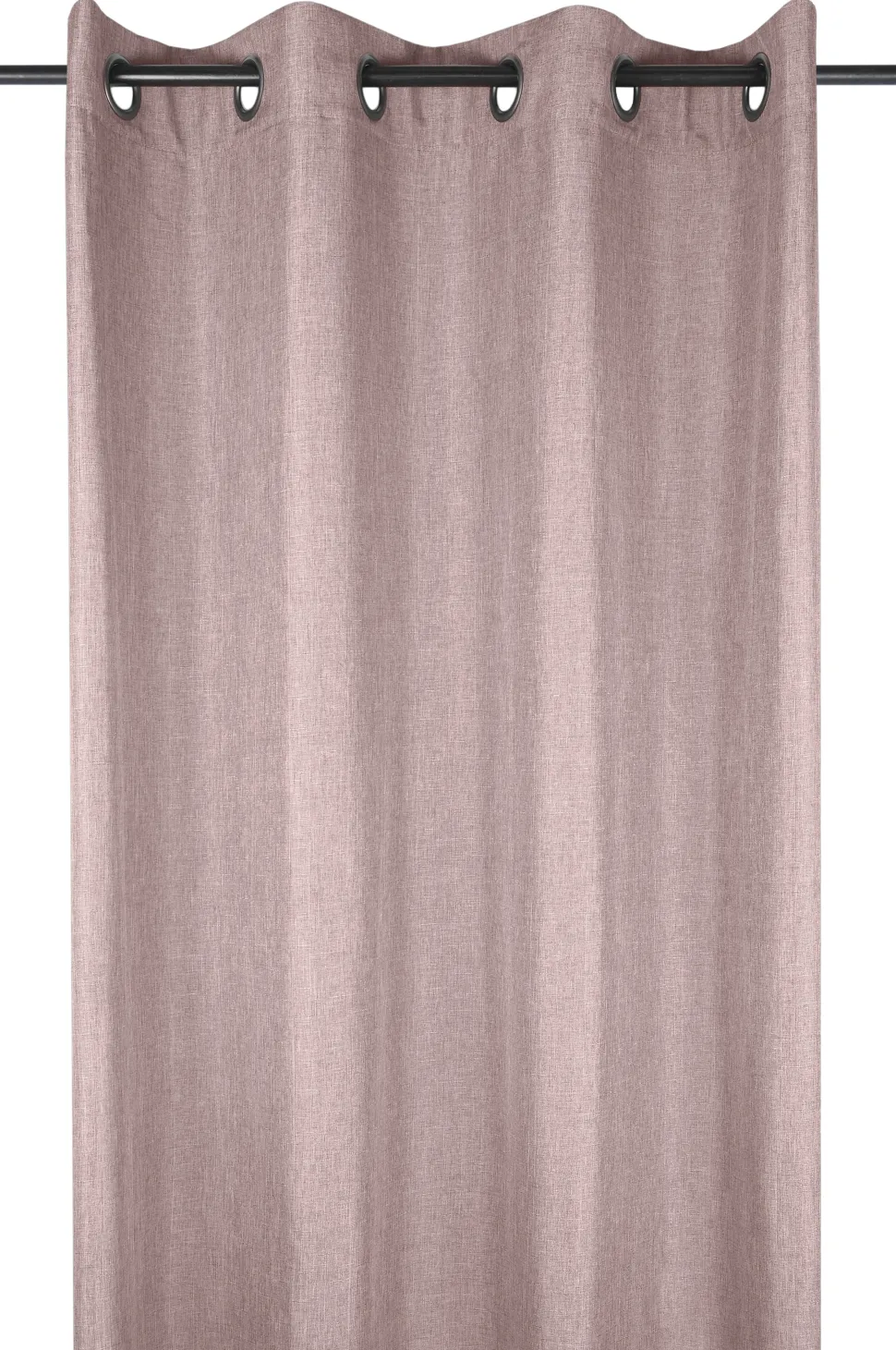 maxibazar Bea Rideau Oeillets 140X260Cm Poudre