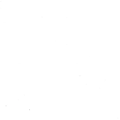 maxibazar Bobineau Adhesif 0.45X2 Ml Uni Blanc