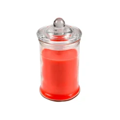 maxibazar Bougie Bocal D.7.8X15Cm Jardin Geraniol