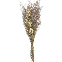 Atmosphera Bouquet Fleurs Sechees H.50Cm
