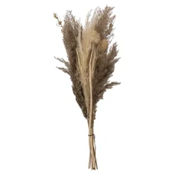 Atmosphera Bouquet Pampa Origines H.58Cm