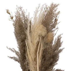 Atmosphera Bouquet Pampa Origines H.58Cm