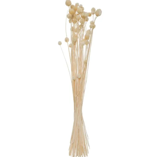 Atmosphera Bouquet Seche