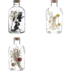 maxibazar Bouteille Verre Fleurs Sechees