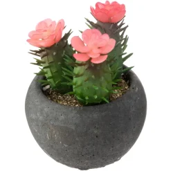 Atmosphera Cactus Pot Ciment Noir D.6.5Cm