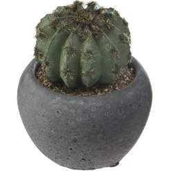 Atmosphera Cactus Pot Ciment Noir D.6.5Cm