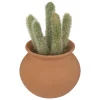 maxibazar Cactus Pot Terracotta H.16.5Cm