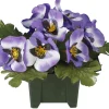 maxibazar Columbarium Pot Pensees