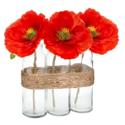 Atmosphera Composition Coquelicot Tube Verre H.23Cm X3