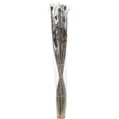 maxibazar Fagot H.150Cm