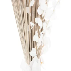 maxibazar Fagot Orchidee Blanc H.100Cm