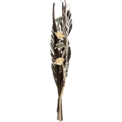 maxibazar Fleurs Sechees H.100Cm