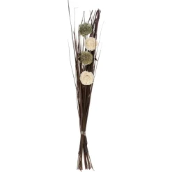 maxibazar Fleurs Sechees H.100Cm