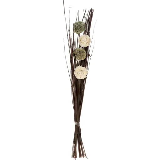 maxibazar Fleurs Sechees H.100Cm