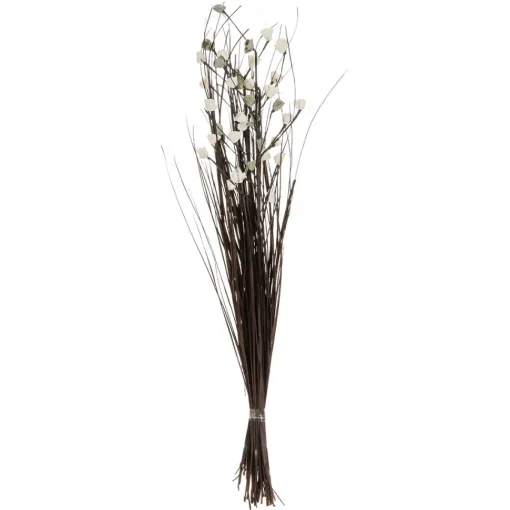 maxibazar Fleurs Sechees H.100Cm