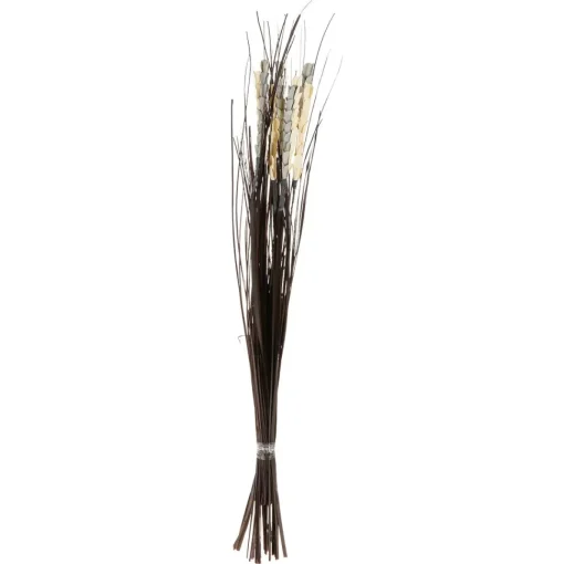 maxibazar Fleurs Sechees H.100Cm