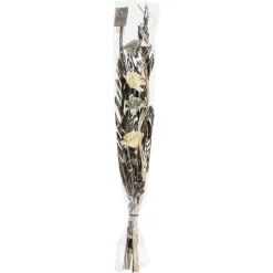 maxibazar Fleurs Sechees H.100Cm