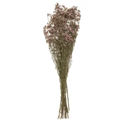 Atmosphera Graminee H.57Cm