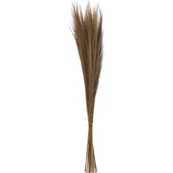 maxibazar Herbes Sechees Origines H.110Cm