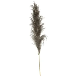 Atmosphera Pampa Naturel Brune X3 Pieces H.110Cm