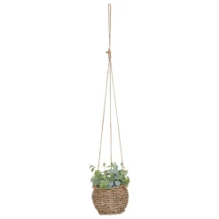 maxibazar Plante A Suspendre Naturel Zoe H.17Cm En Box