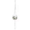 Atmosphera Plante A Suspendre Verre Nomade D.10Cm