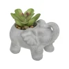 maxibazar Plante Ciment Elephant H.10Cm
