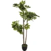 maxibazar Plante Schefflera H.130Cm