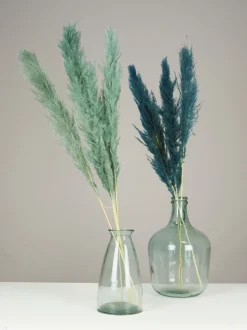 maxibazar Plumeau Pampa Naturel H.110Cm Bleu Et Vert X3 Pieces