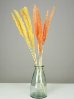 maxibazar Plumeau Pampa Naturel H.90Cm Jaune Et Orange X6 Pieces