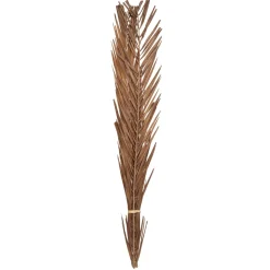 maxibazar Seche Naturel H.100Cm