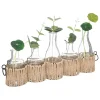 maxibazar Soliflores X5 Pieces Tiges Naturelles Cosy