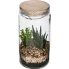 Atmosphera Terrarium Couvercle Bois D.11X22Cm