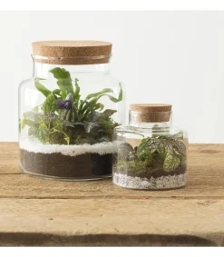 Atmosphera Terrarium H.21.5Cm