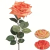 maxibazar Tige Rose Goutte H.70Cm Orange