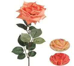 maxibazar Tige Rose Goutte H.70Cm Orange