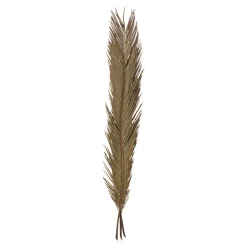 maxibazar Tiges Cycas Palm X3 Pieces Origines H.100Cm