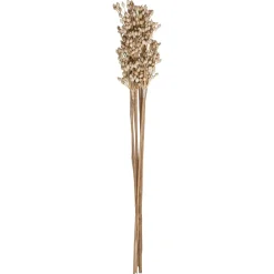 Atmosphera Tiges Sechees Naturel Ocre