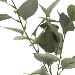 Atmosphera Vase Eucalyptus Et Corde H.45Cm